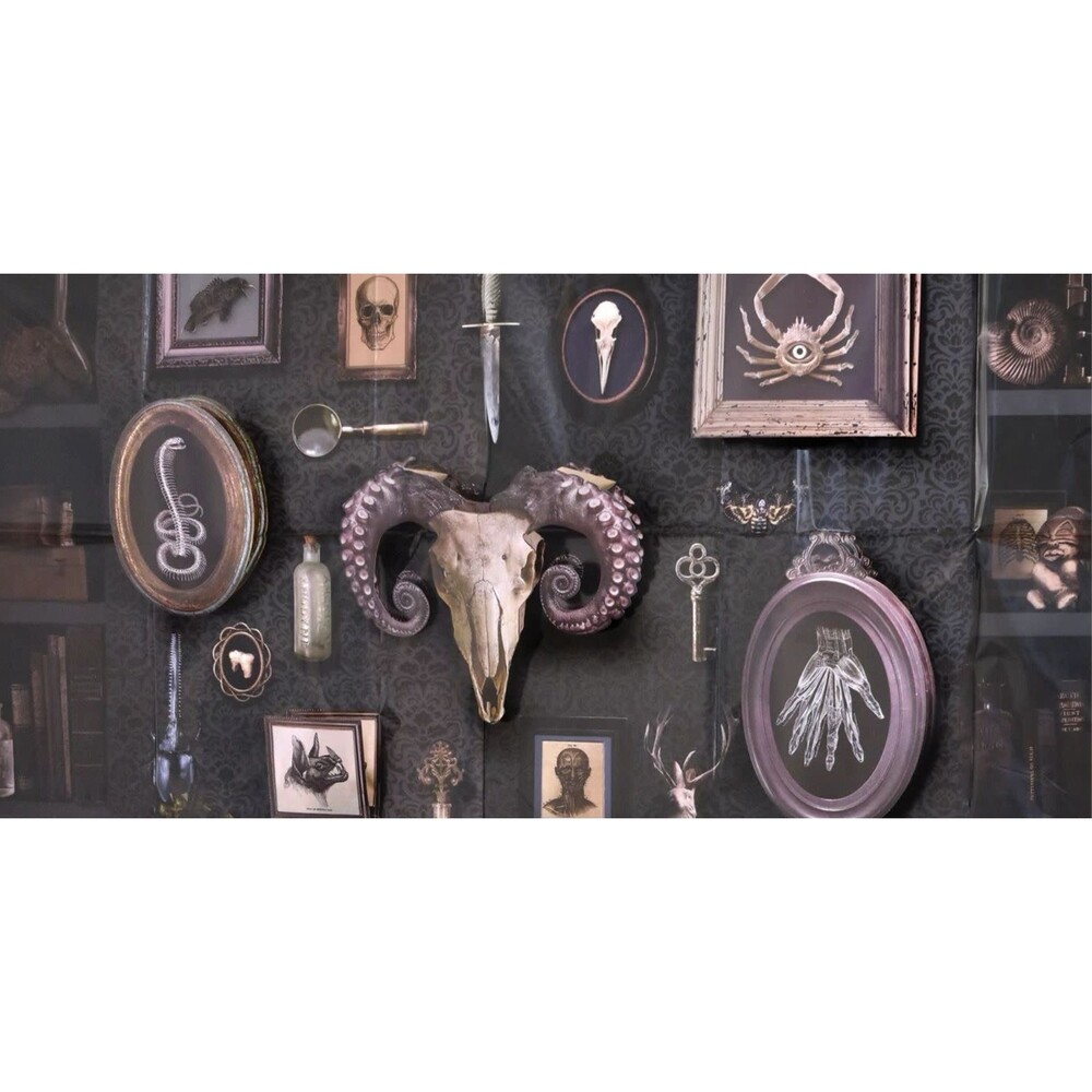 Dark Academia Backdrop Kit with 3D Add-Ons - 65" x 32.5 - Amscan - Picture 2 of 2